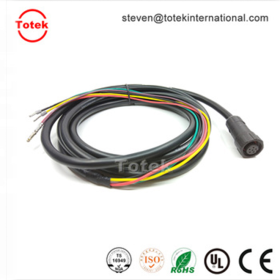 M14 waterproof IP67 6Pin Connector to TE AMP 770854-3 770520-3 FSD76-8-D custom automotive wire harness